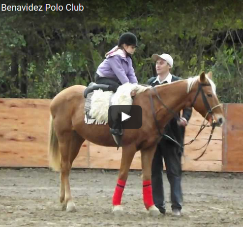benvidezpc