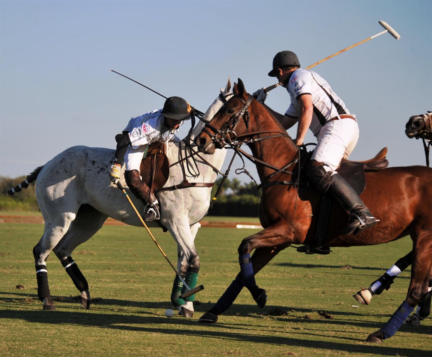 polo newport ami de la mer DSC 4170